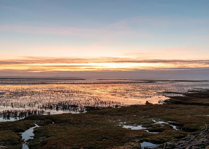 Norderney By Interhome شقة